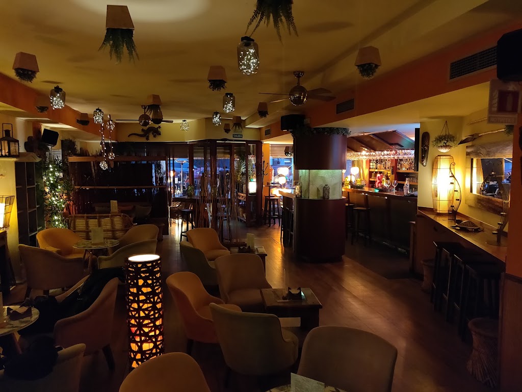 Bambu — Ambiente