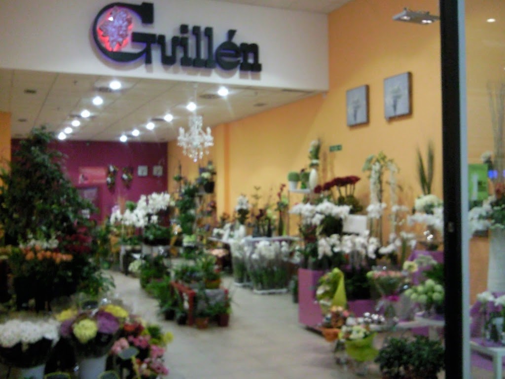 Floristeria Jesus Guillen