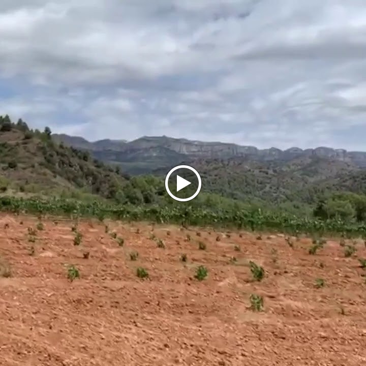 Rodabike Cambrils Cycling Holidays — Videos