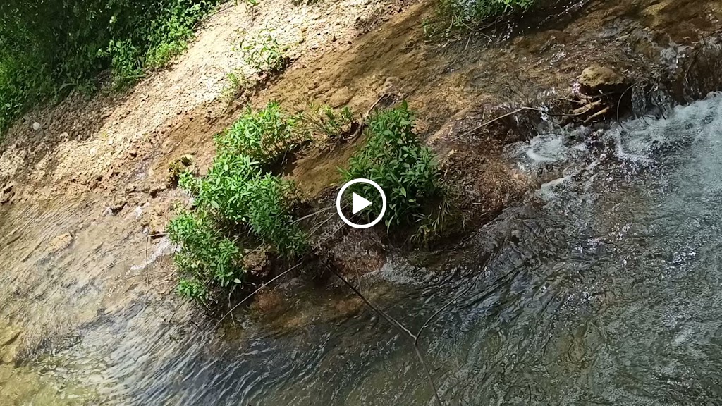 Tasca Canete 2.0 — Videos