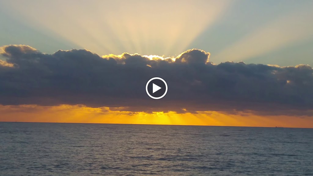 Restaurante Crabby's Coastfood — Videos