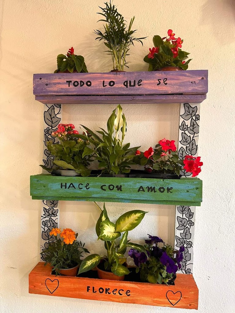 Centre de dia Mar i Cel - Consorci Sociosanitari d'Igualada