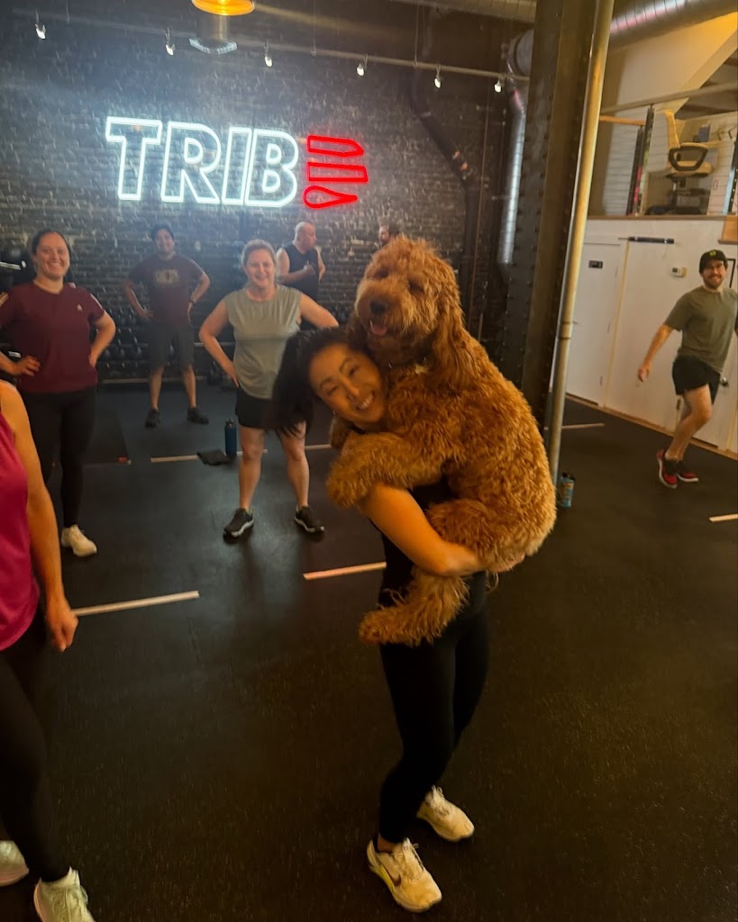  Tribe Fitness Personal Training