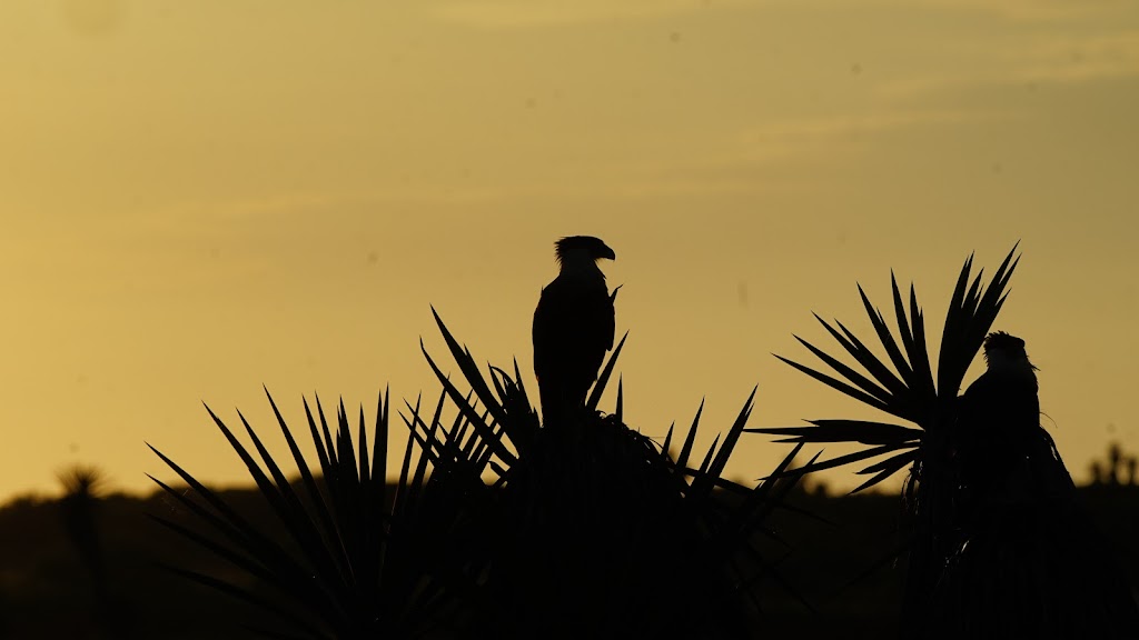 Laguna Atascosa National Wildlife Refuge