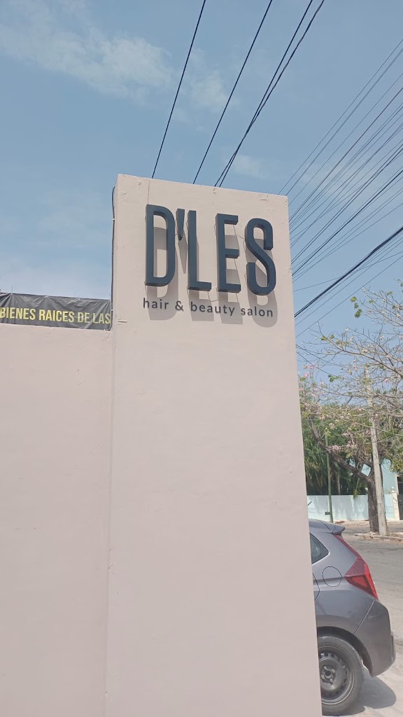 D'LES