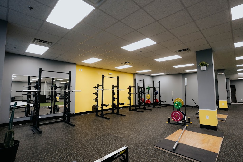  Vybe Training Studio