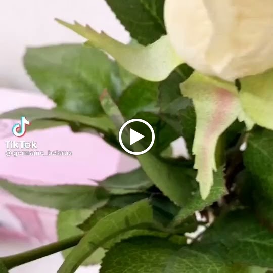 Centro De Estetica Cathy's — Videos