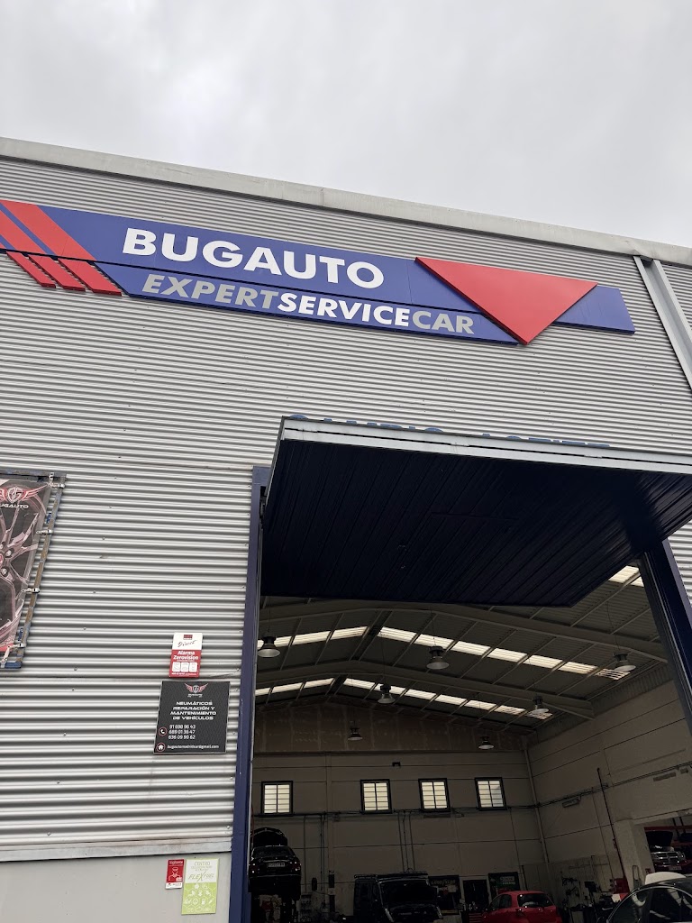 Bugauto — Mas recientes