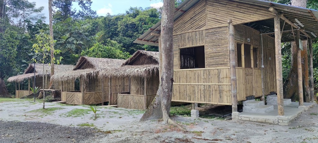 Dusun Abu Campsite