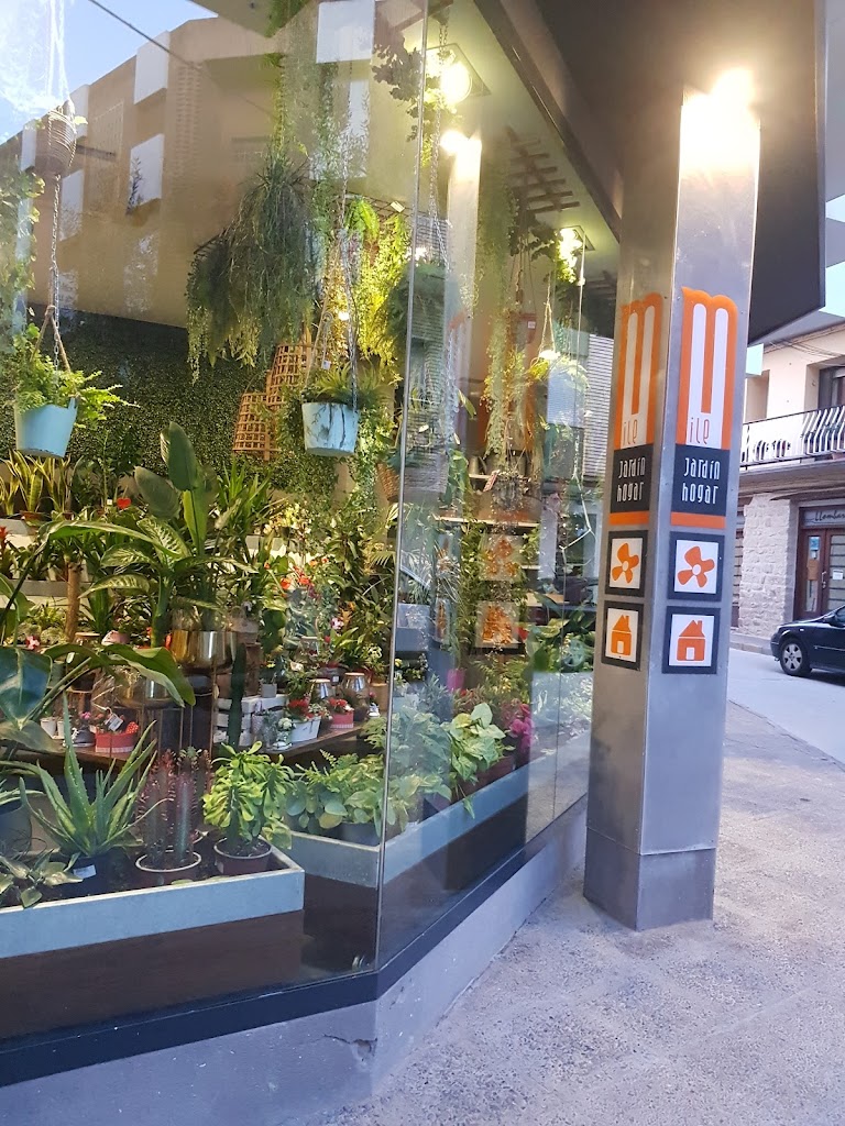 Floristeria Menaje del hogar Decoracion Mile Jardin-hogar