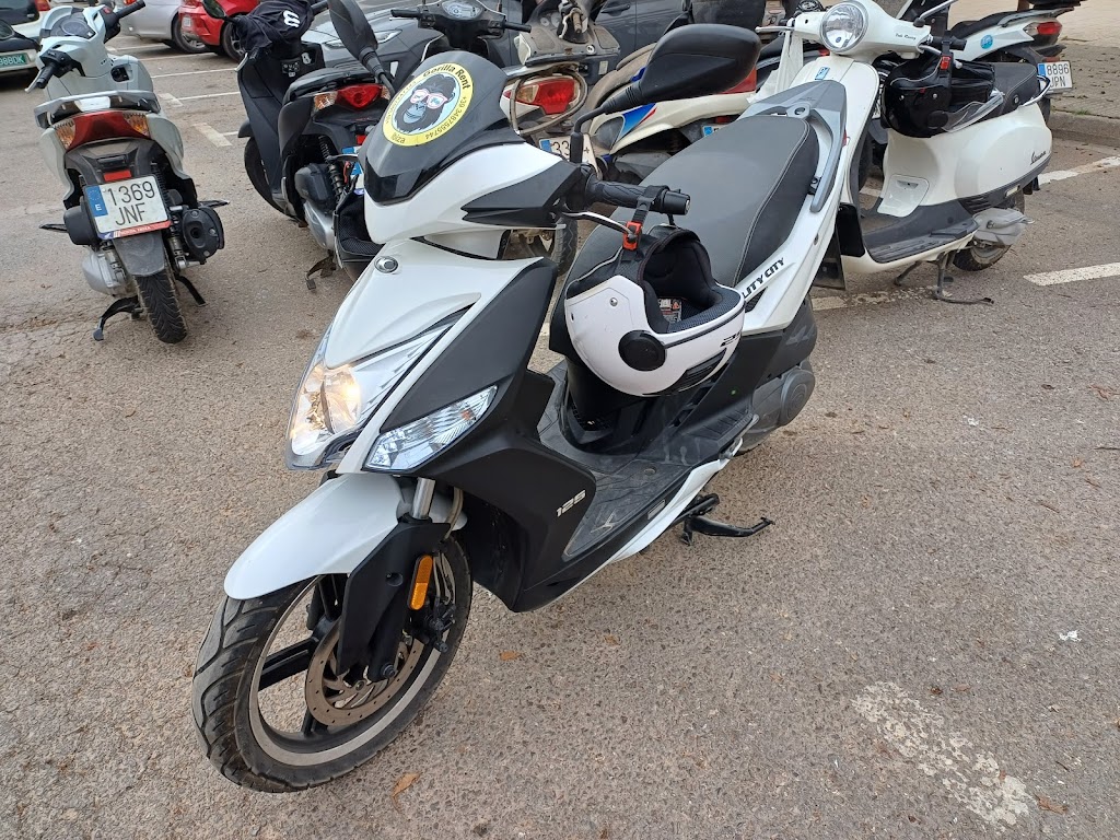 Gorilla Rent Ibiza
