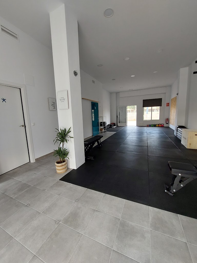 Maje Tamarit Centro de Entrenamiento