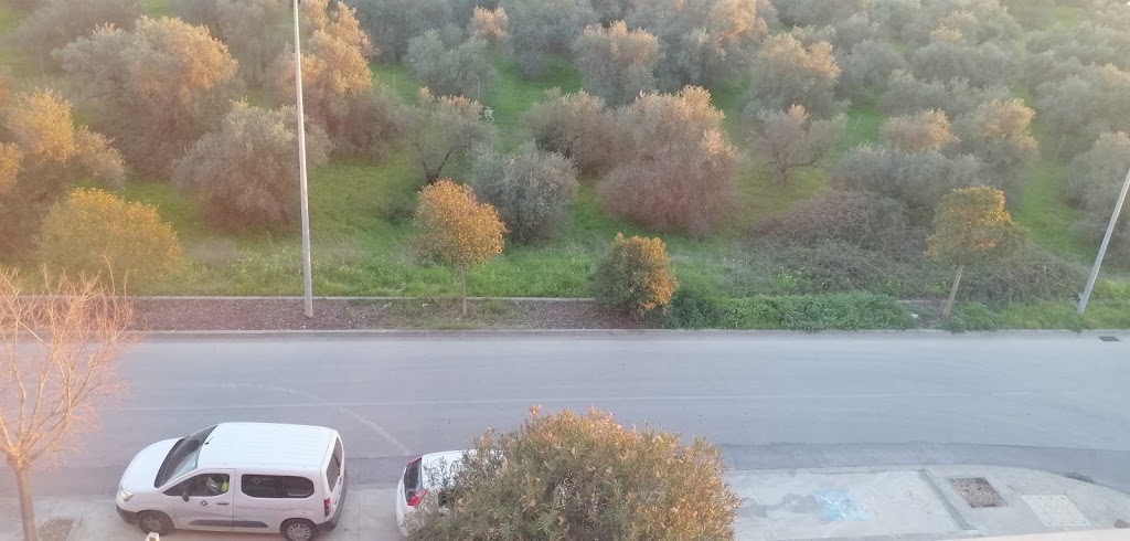 Aparcamiento discapacitados