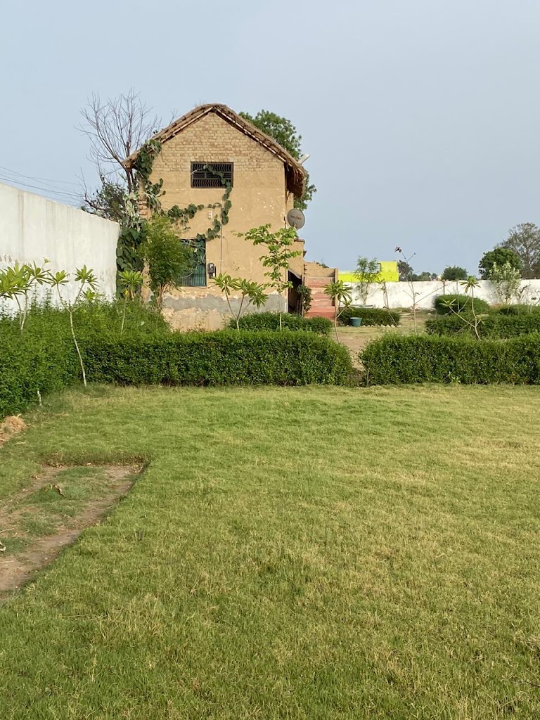 Vanya Organic Farms