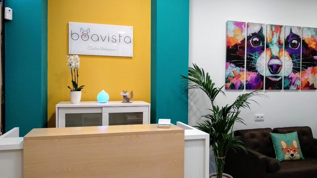 Boavista Oftalmologia Veterinaria