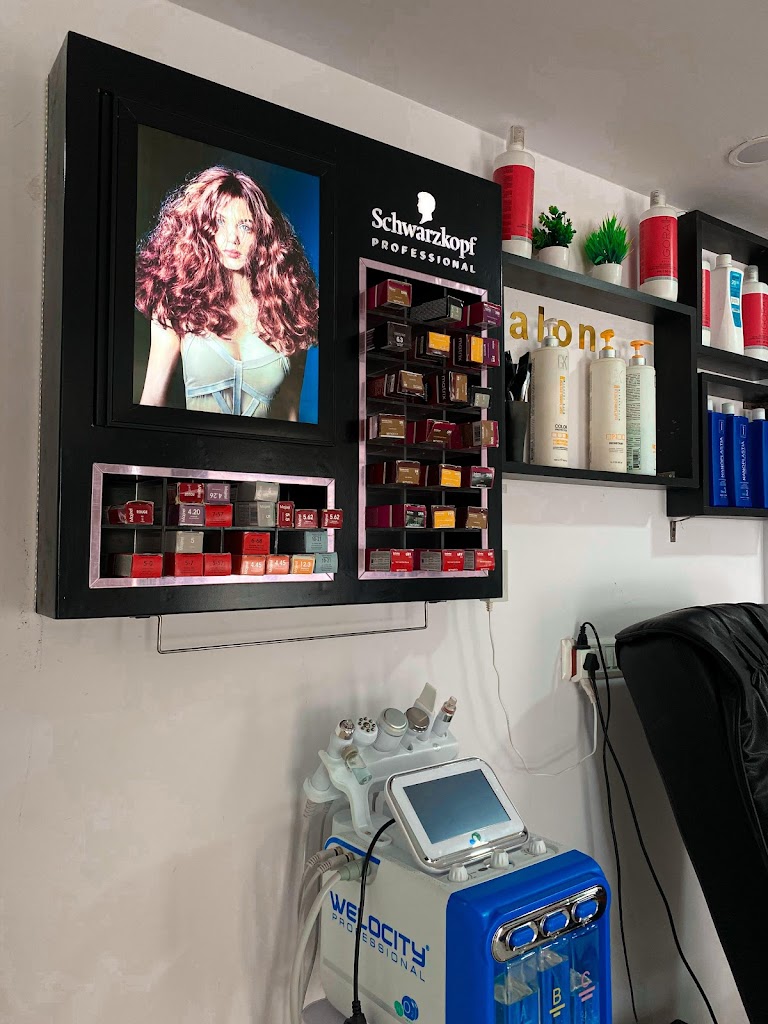 The Professionals A Premium Unisex Salon