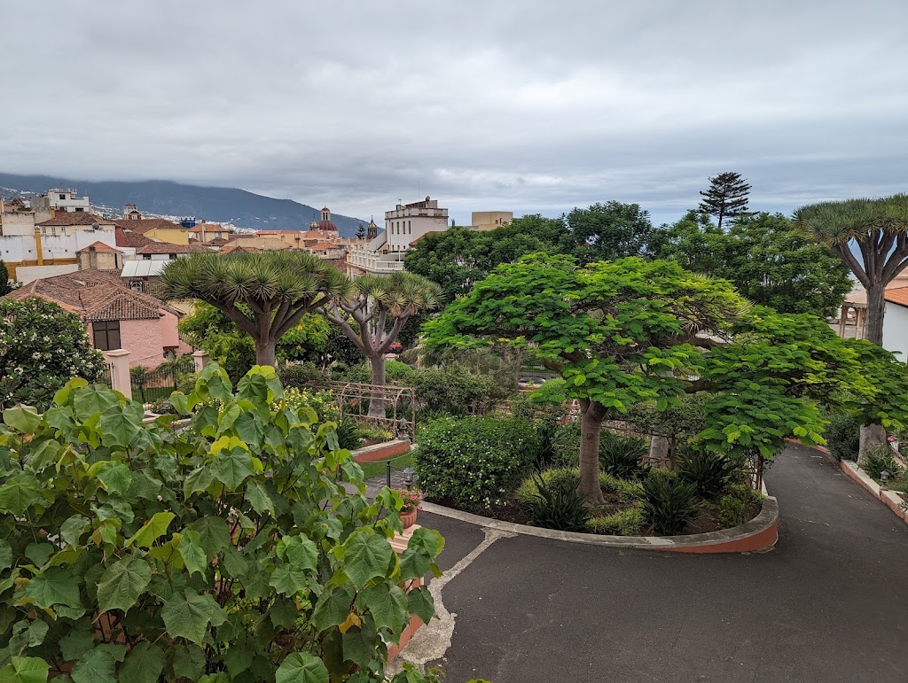 Administracion de la Sociedad Cultural Liceo de Taoro
