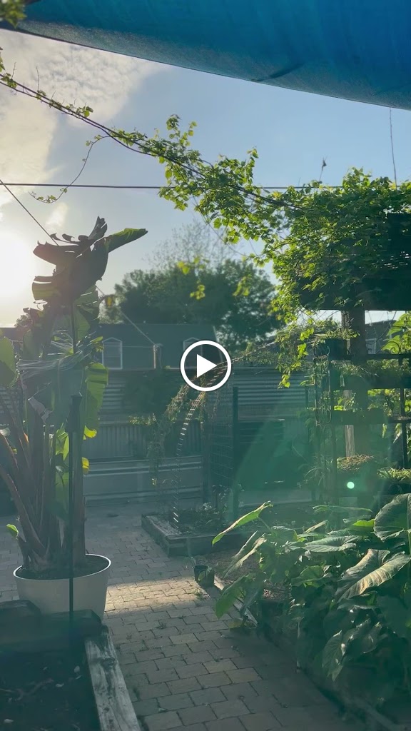  Valor - Yoga, Leadership, and Vitality