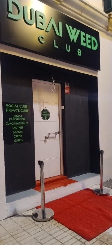 Dubai weed San Pedro (Weed club)