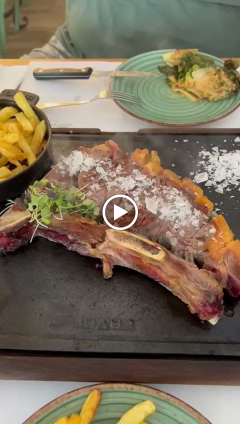 EL ARBOL TAPAS — Videos