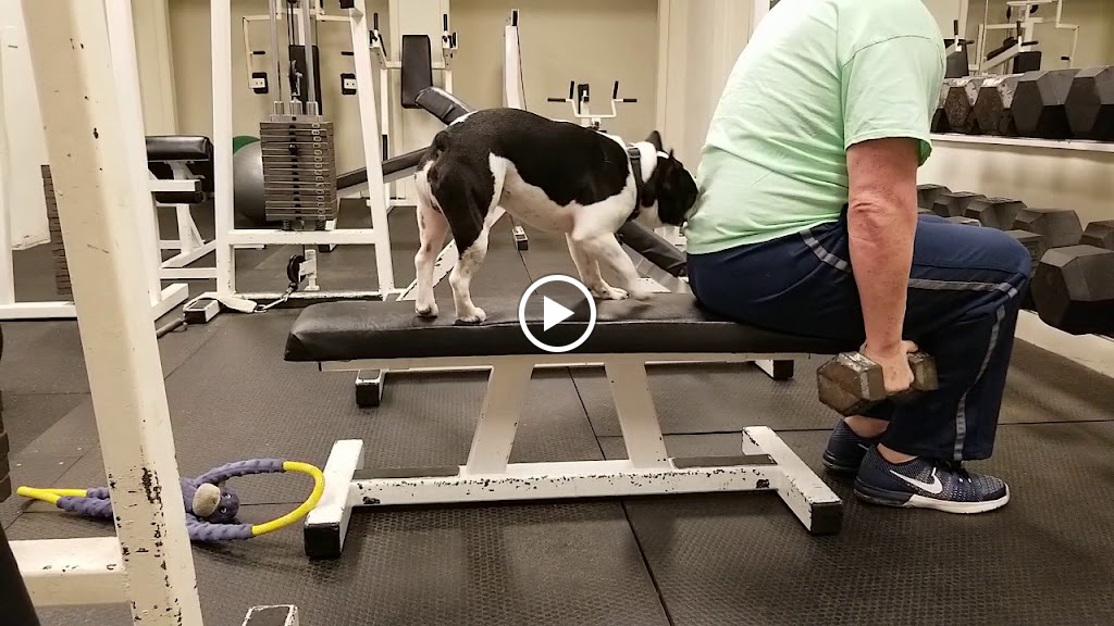  CARDIN'S Classic GYM and personal training