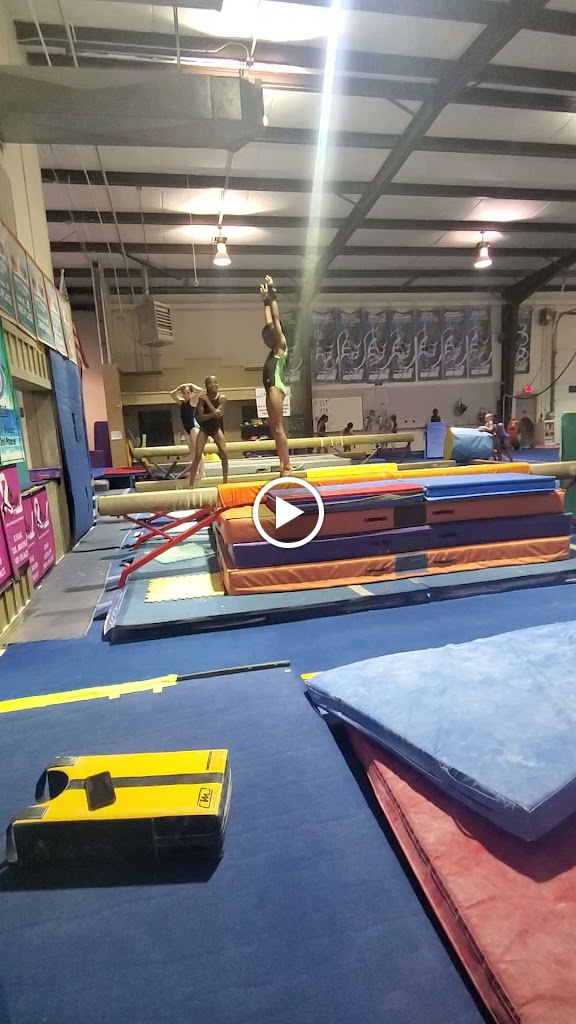  Next Level Gymnastics Academy