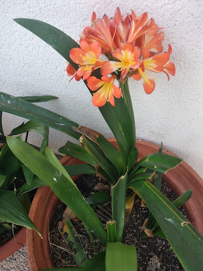 Centro Residencial Senora de las Cruces