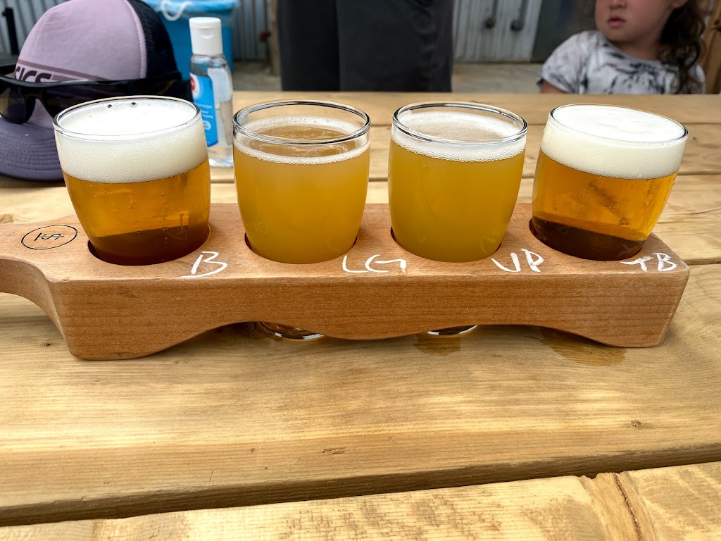 Beer