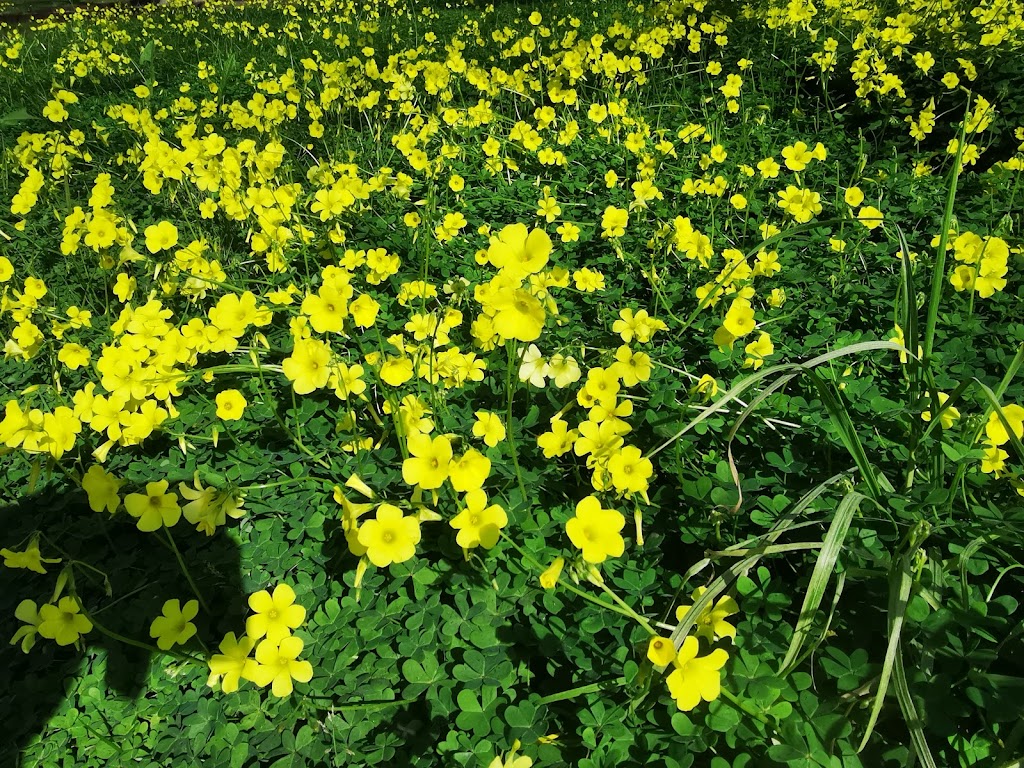 Aparcament de l'esglesia