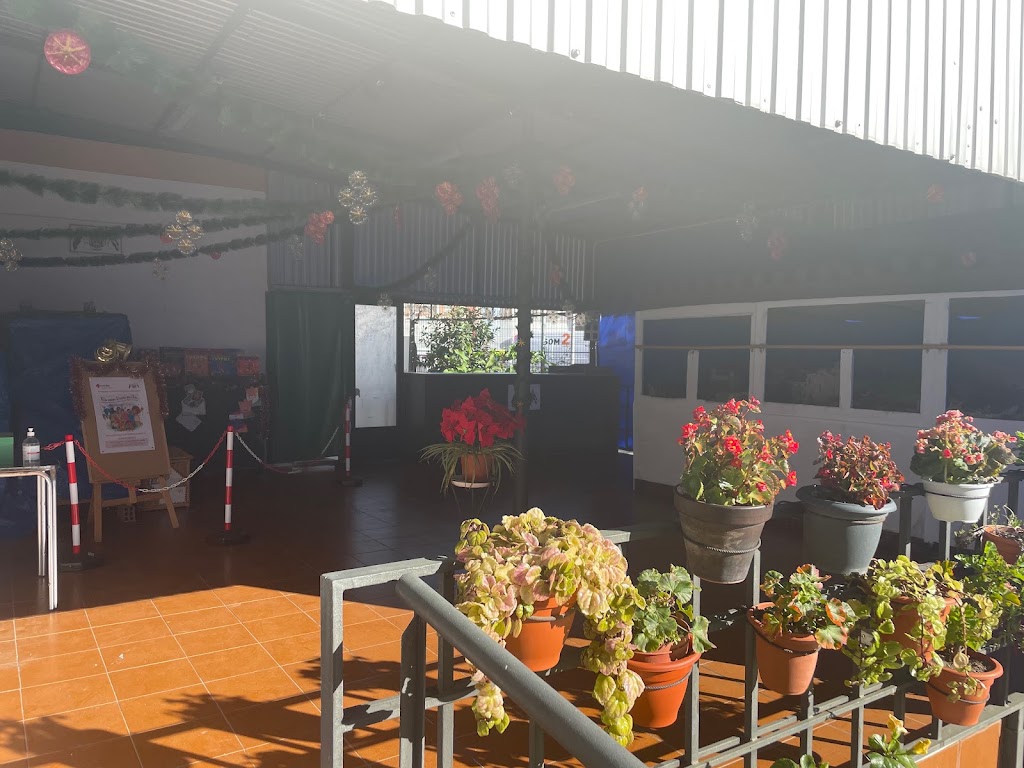 Centro Cultural Recreativo Extremeno "La Segarra" de Cornella — Del propietario