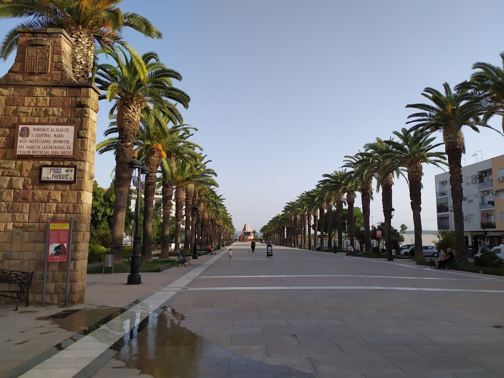 Paseo de las Palmeras