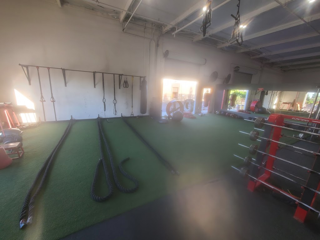  Life Performance Enhancement