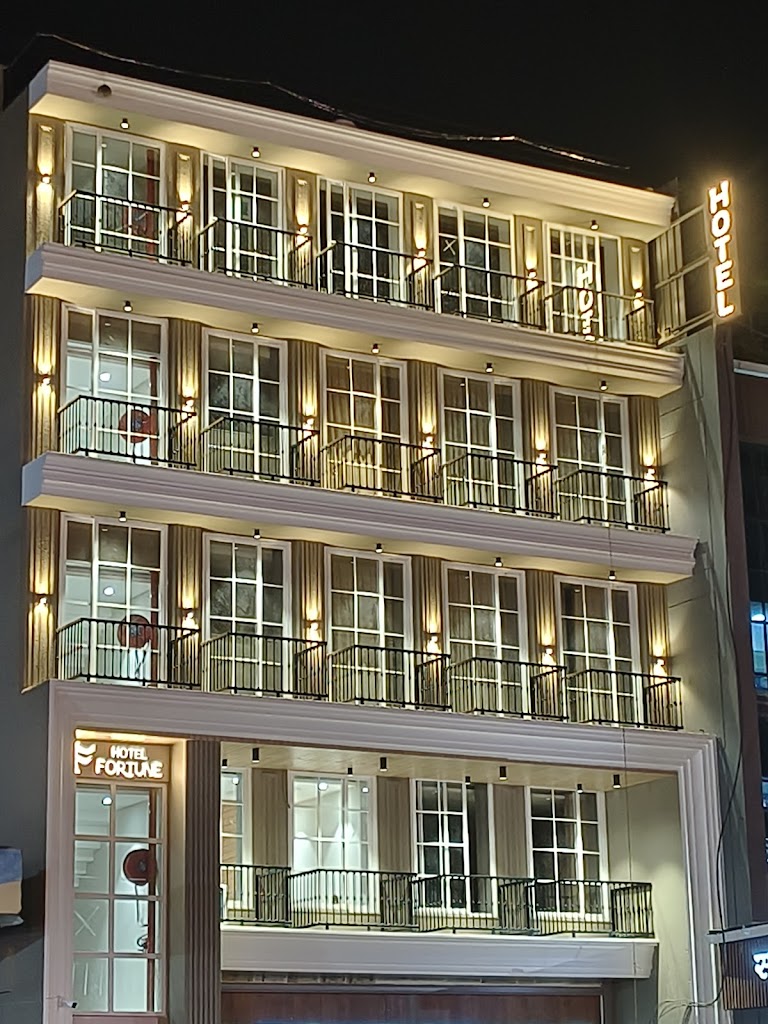 Hotel Fortune Mandsaur