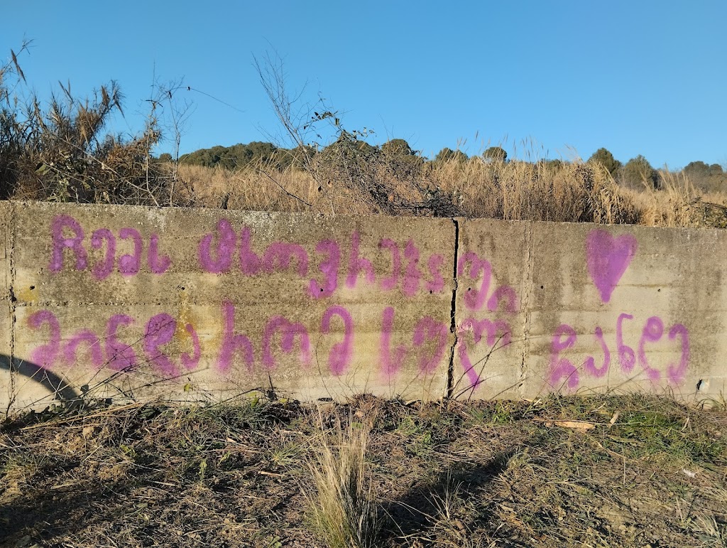 Carrer Verneda Parking