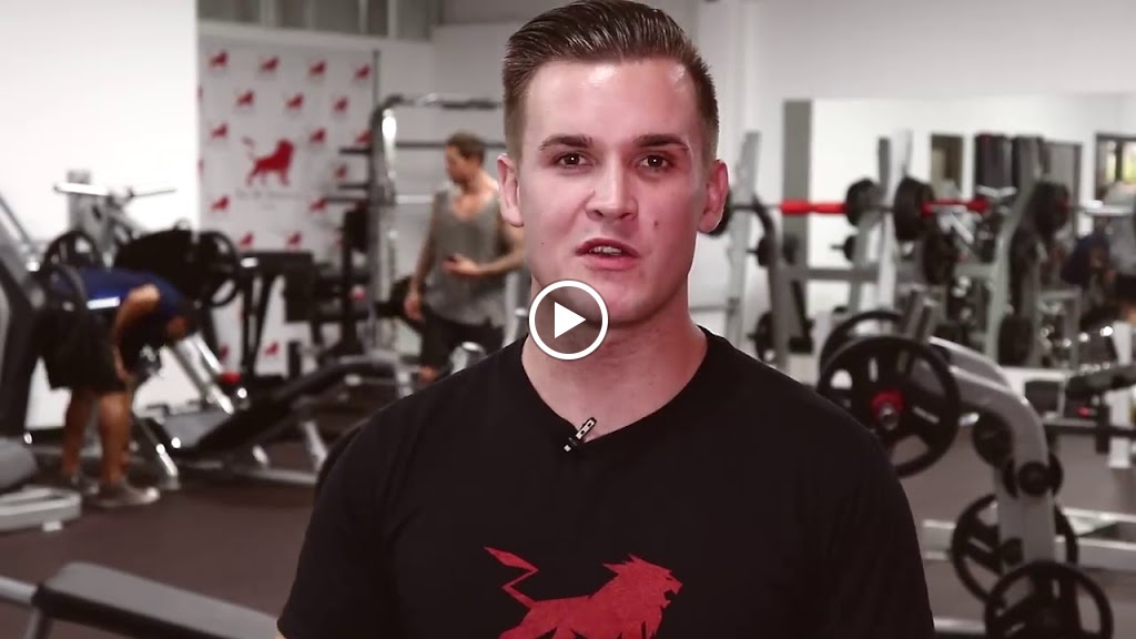  Art of Strength Fitness