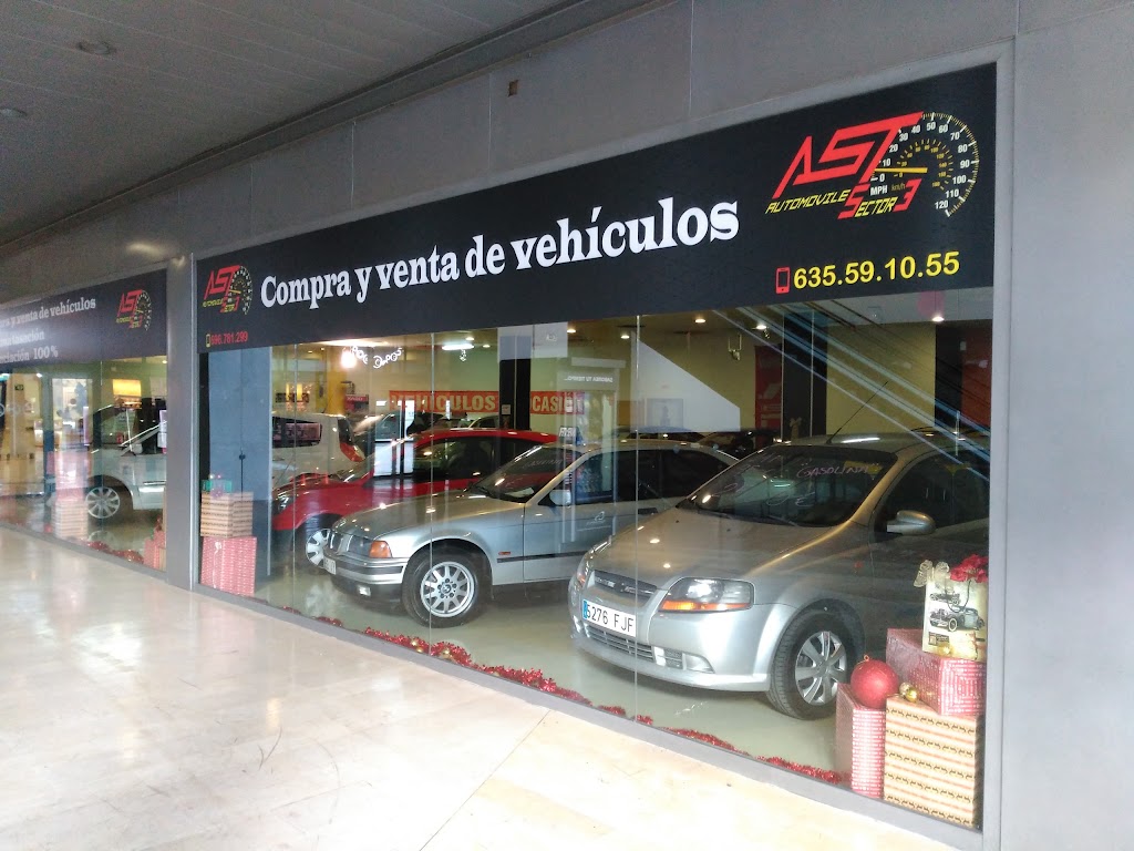 Ast Automoviles sector 3