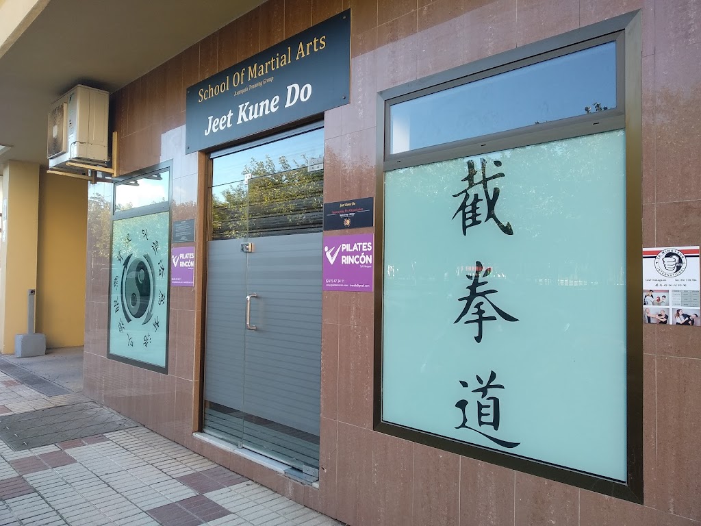 Wing Tsun Malaga WTI International