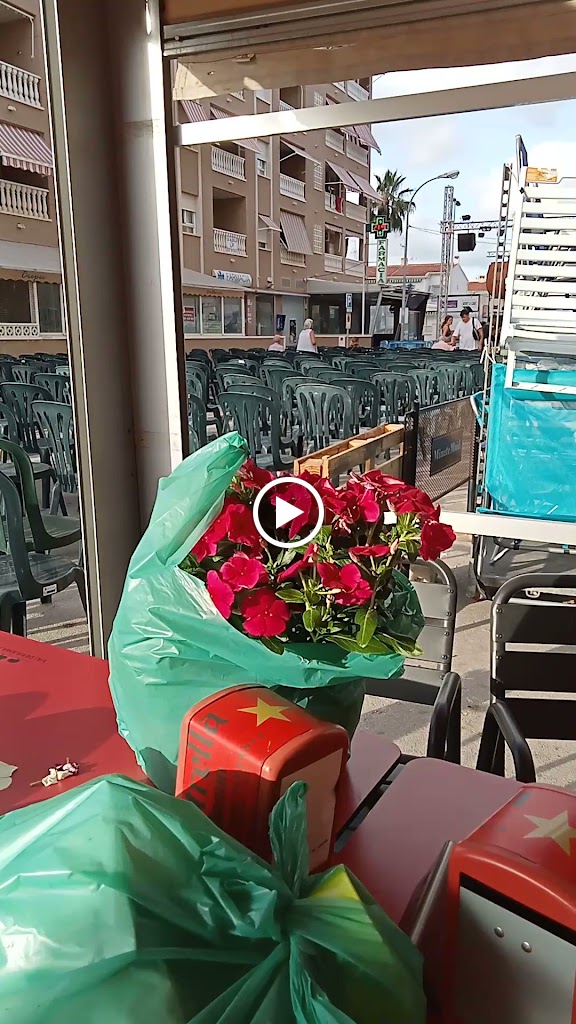 CAFE MAREA — Videos