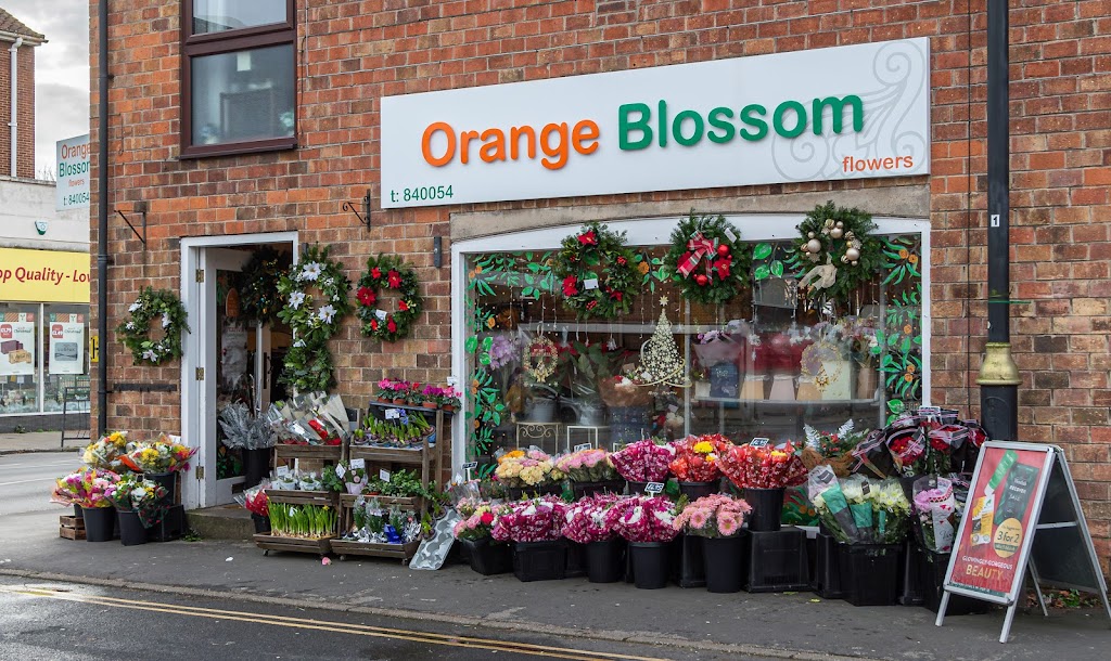 Orange Blossom