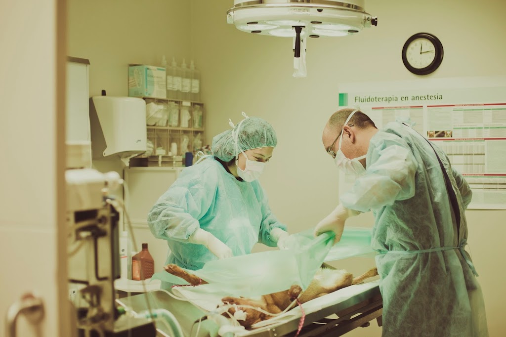 Clinica Veterinaria Quatre Camins