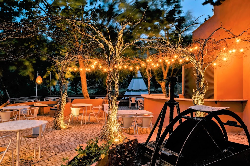 SALEMA ECO CAMP - SURF & NATURE