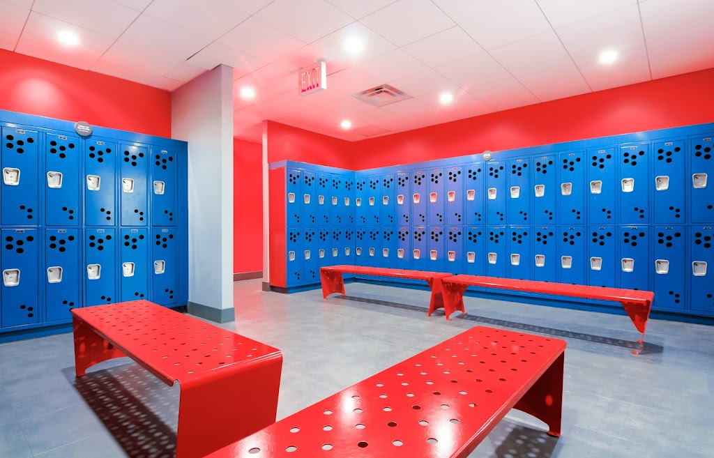  Blink Fitness (PureGym)