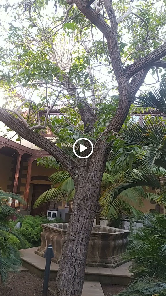 Casa de los Capitanes Generales — Videos