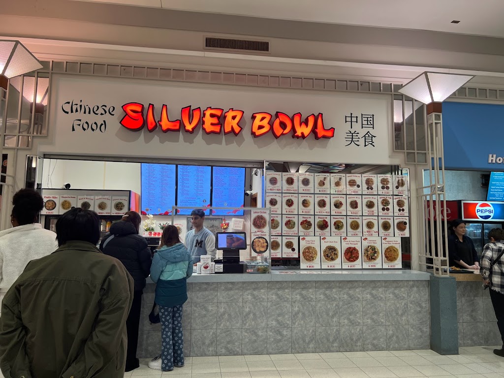Silver Bowl Ltd in St-John-S