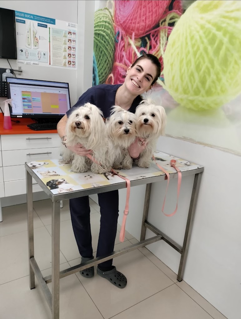 Hospital Veterinario Alcor — Mas recientes