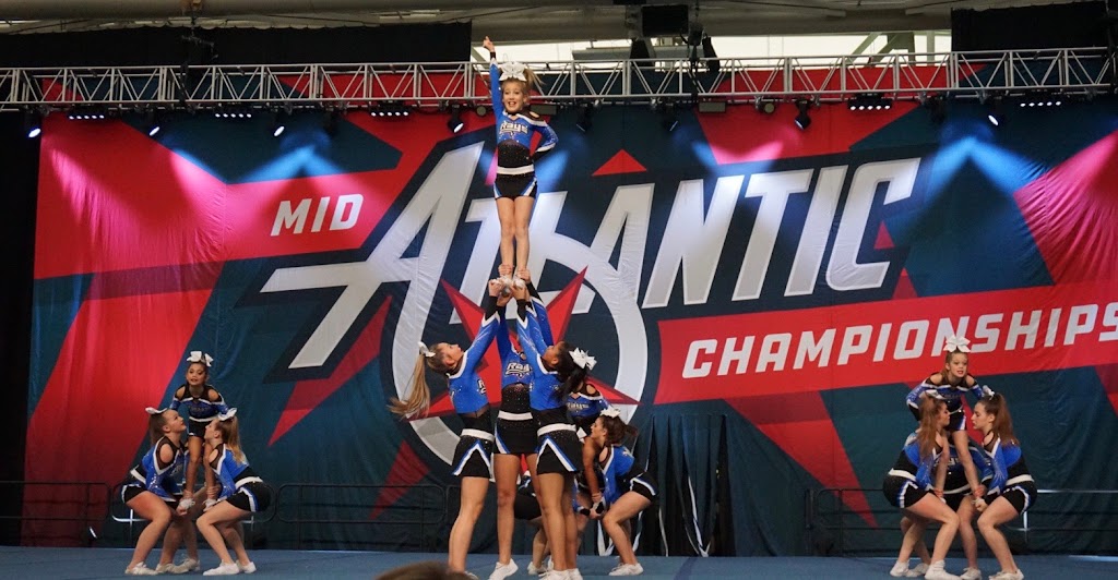  The Stingray Allstars Virginia