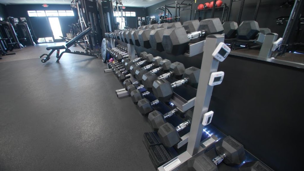  Total Body Metamorphosis