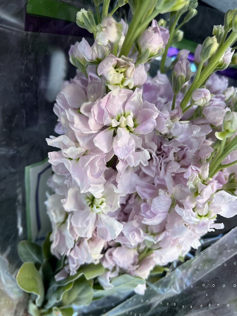 M J Flower Co