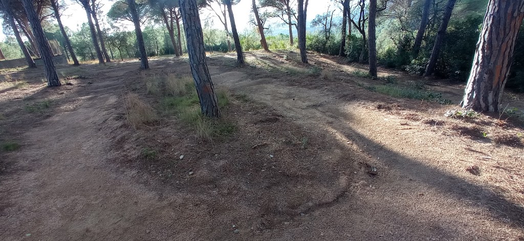 Mini Pumptrack Bike