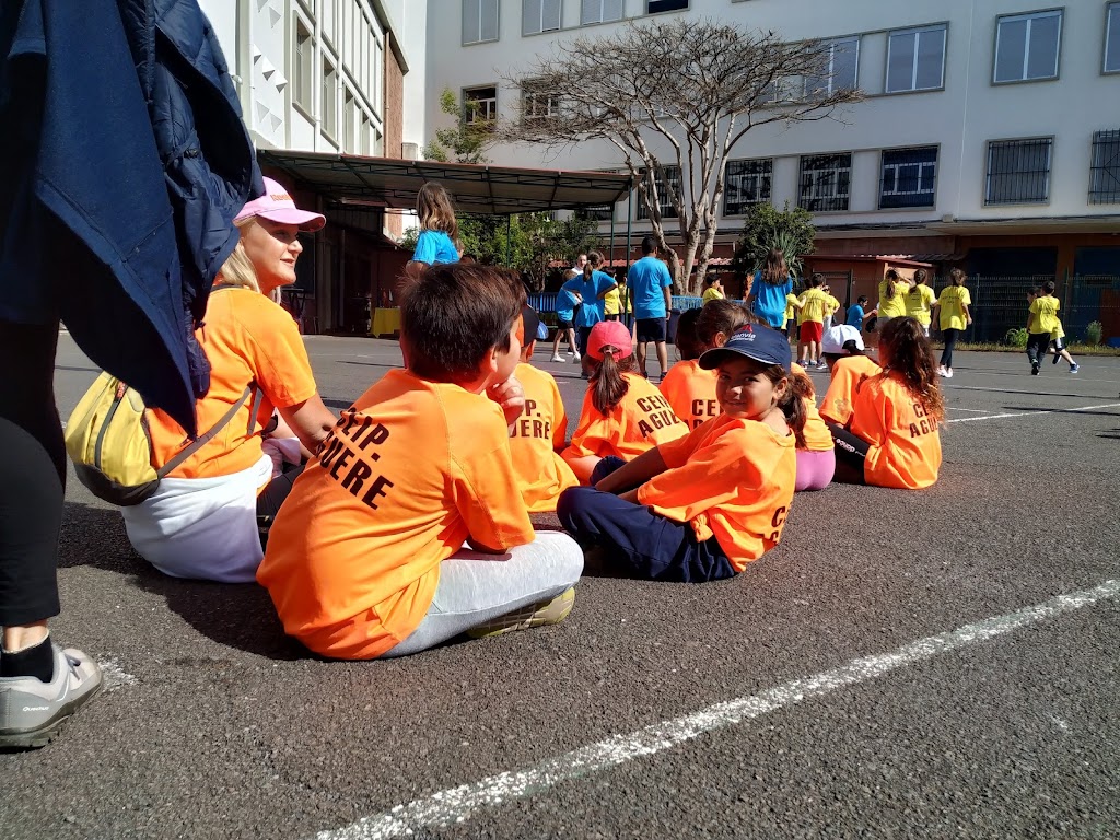 CEIP Practicas Aneja e.U.P.